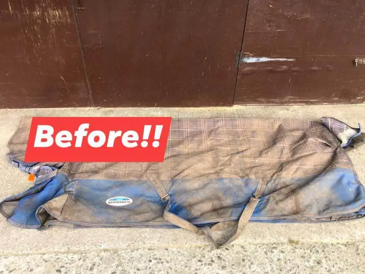 Dirty Rug