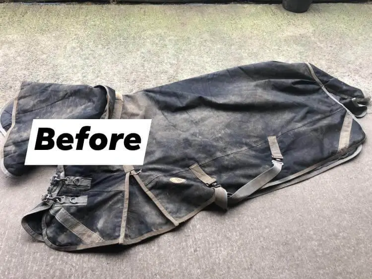 Dirty Rug